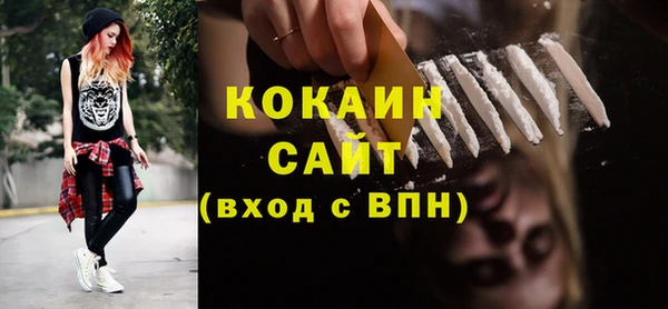 мяу мяу кристалл Няндома