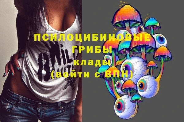 MDMA Дмитриев