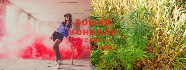 мяу мяу кристалл Няндома