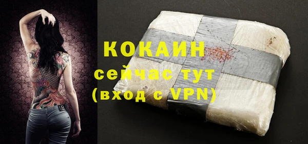 мяу мяу кристалл Няндома