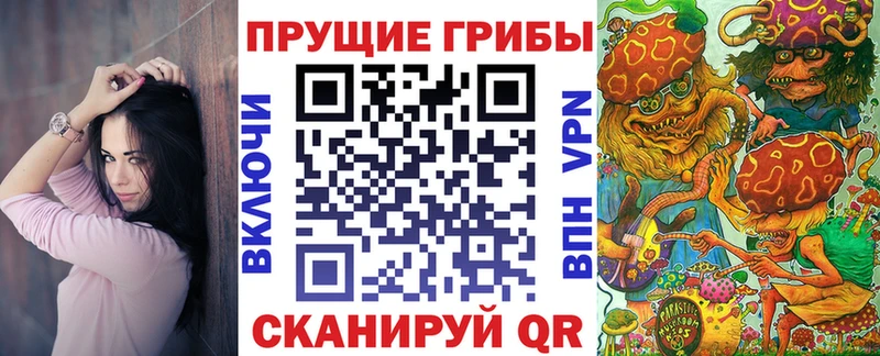 мориарти официальный сайт  Власиха  Псилоцибиновые грибы мицелий 